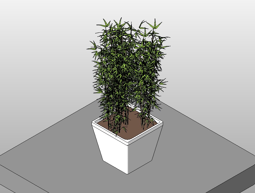 Potted bamboo in planter 1 potted bamboo Revit family