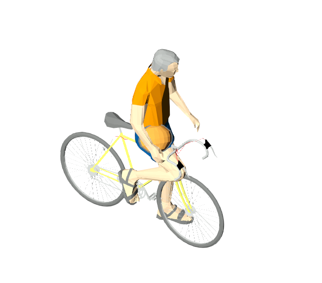 Cyclist on Road Bike