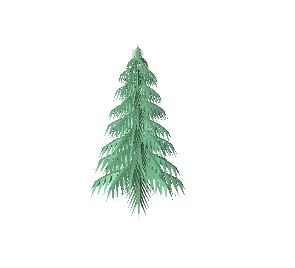 Evergreen Tree