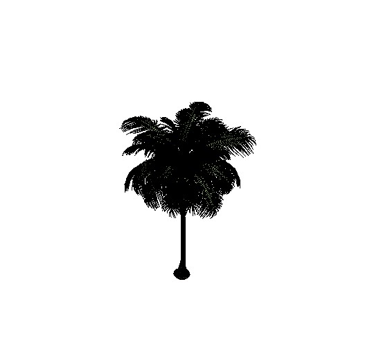 Palm Tree 01