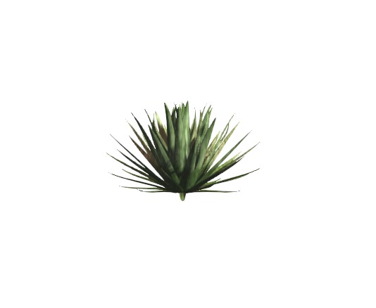 2D Potted Plant