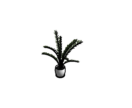 Small Potted Plant