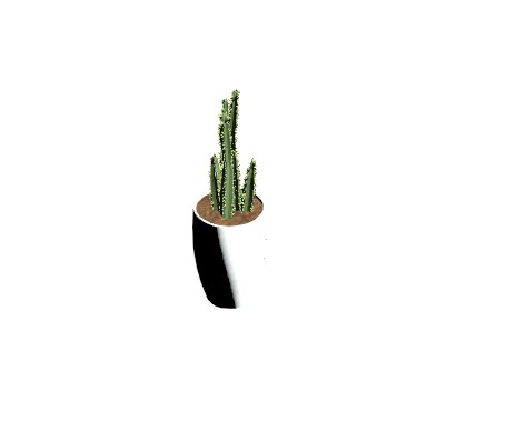 Plant Pot with Spines