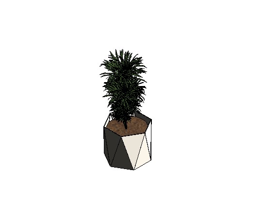 Geometric Vase with Plant