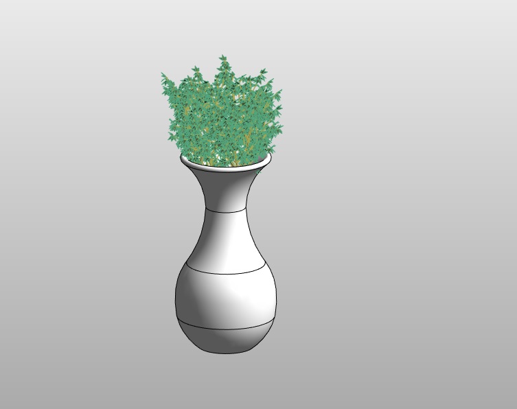 Glass Vase with Water and Vegetation