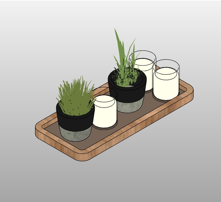 Decorative Tray with Plants and Candles