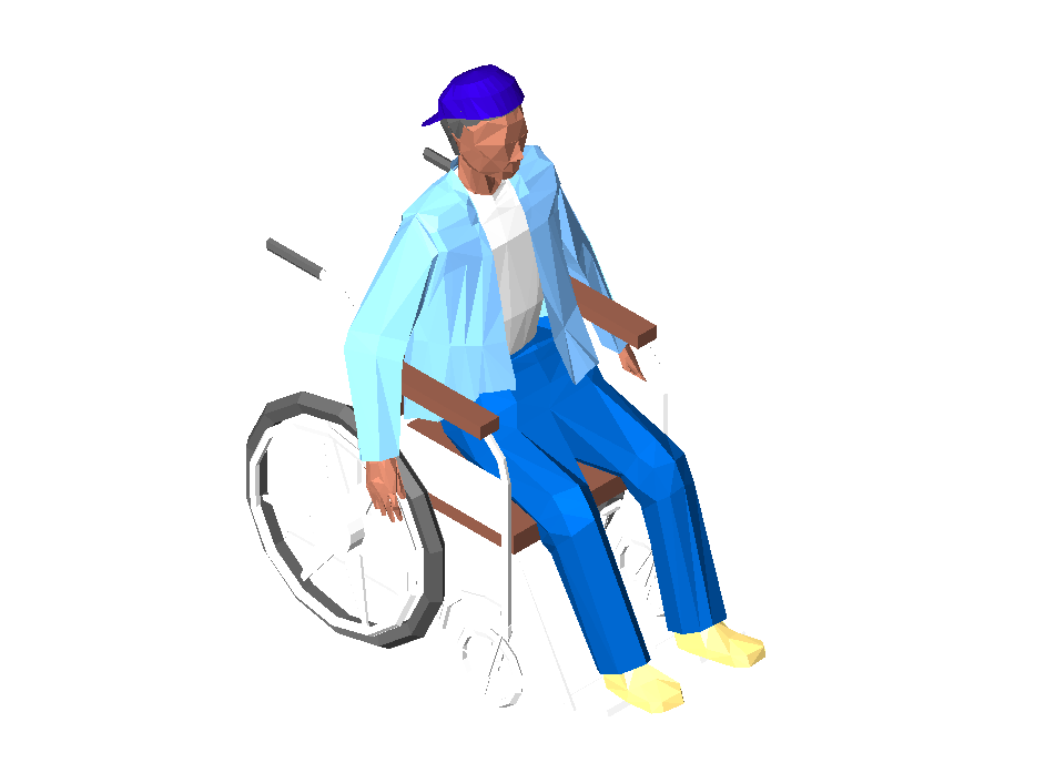 Man in Wheelchair