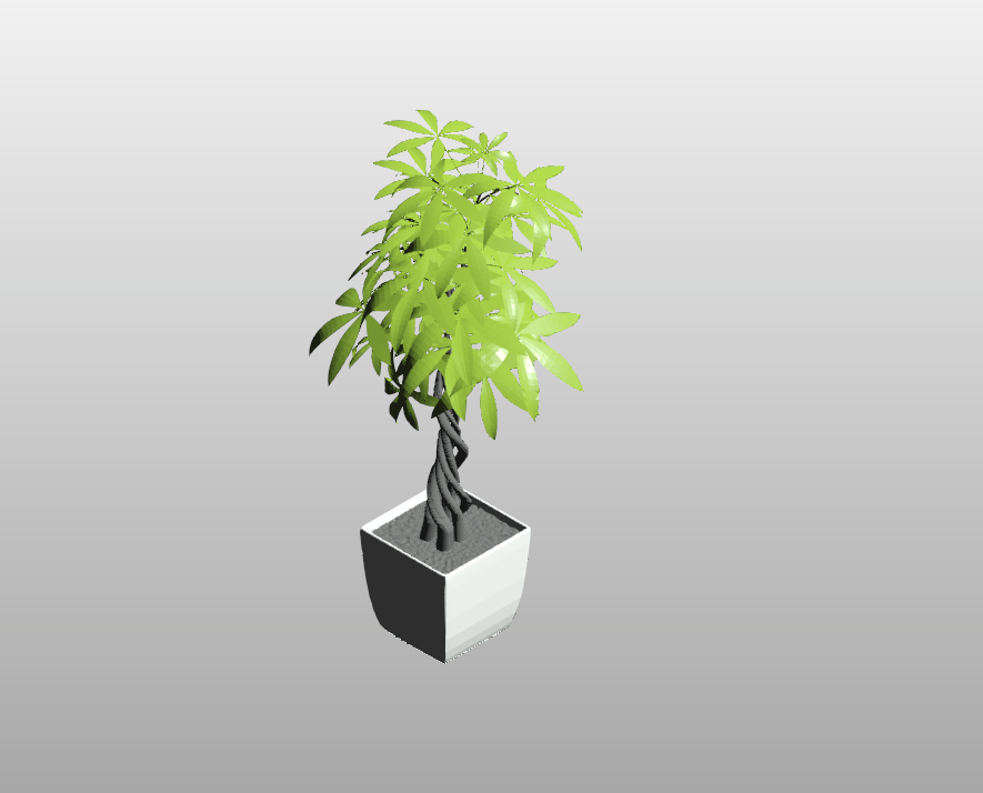 Potted Indoor Tree