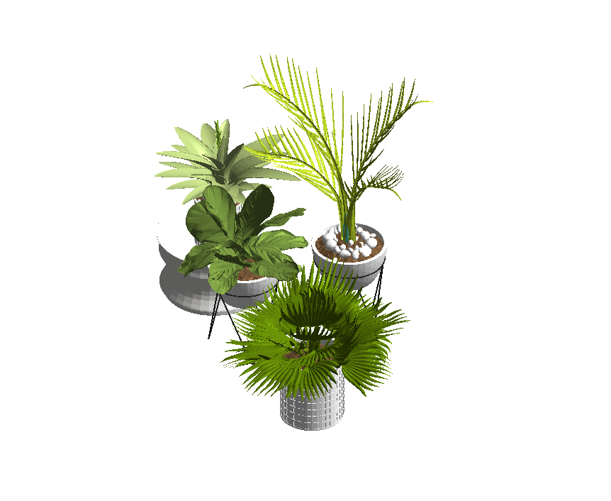 Plant Arrangement