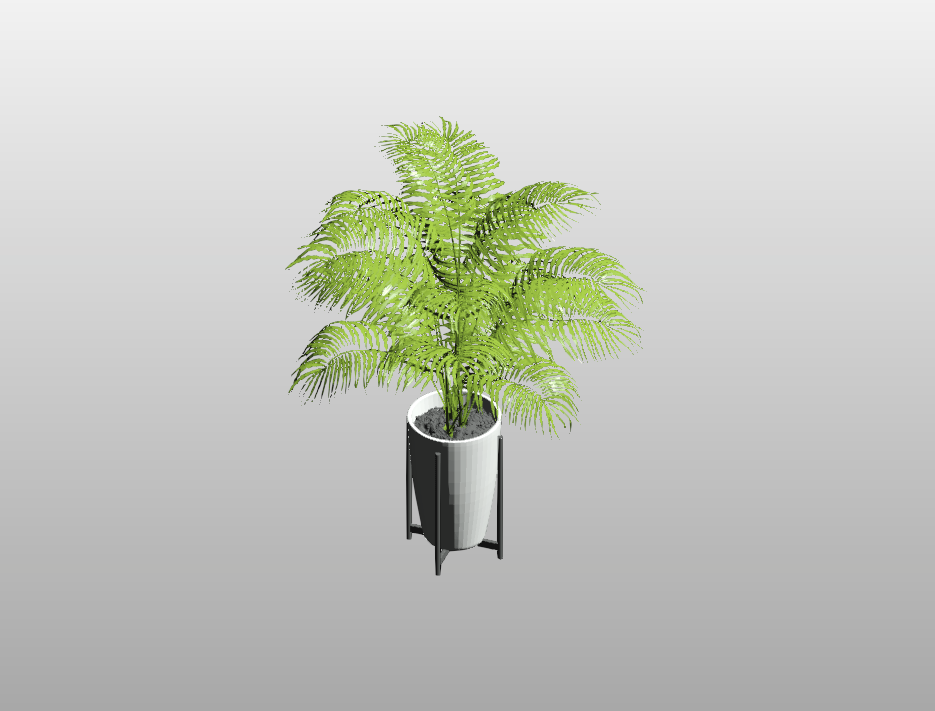 Potted Fern