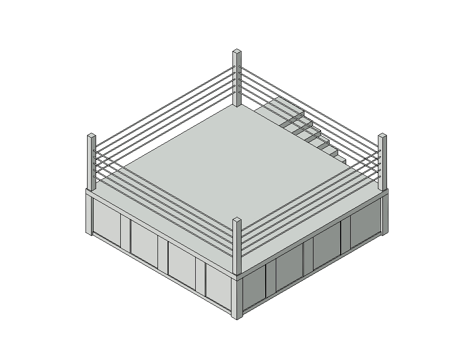 Professional Boxing Ring