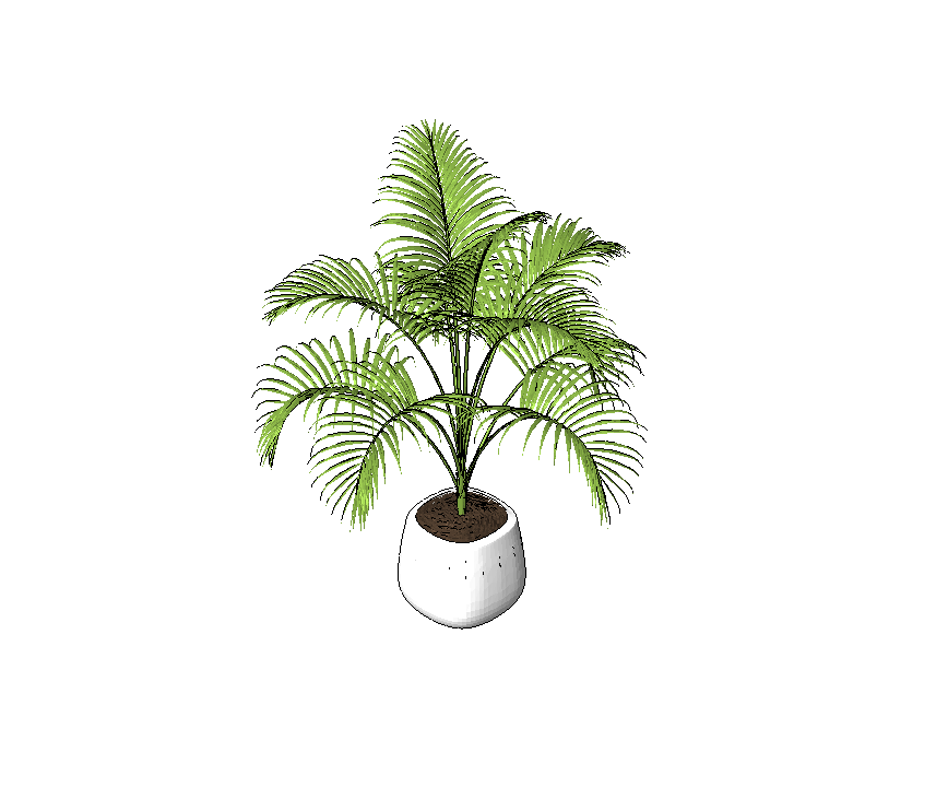 Potted Palm Plant