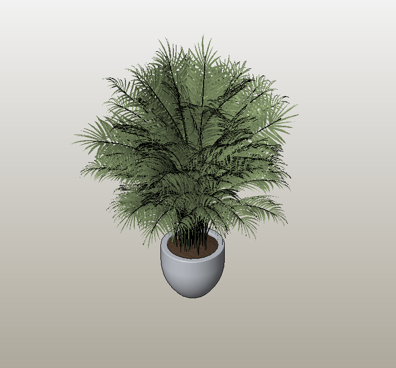 Potted Fern