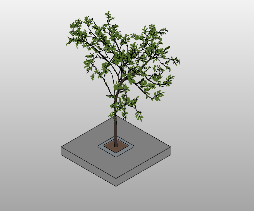 Urban Tree Planter