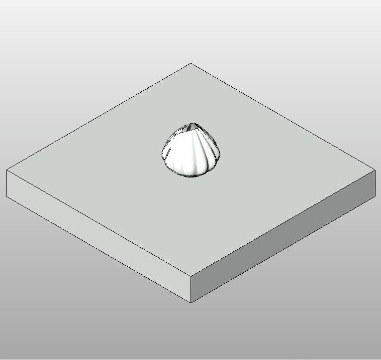 Elegant Shell Vase