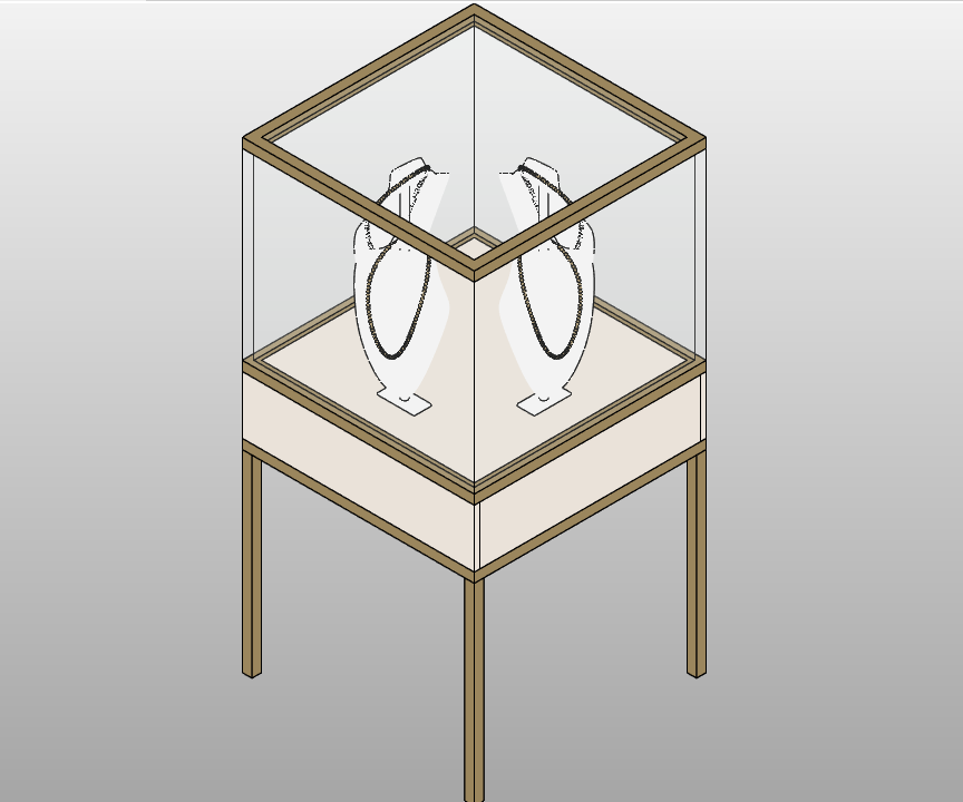 Elegant Jewelry Display Case