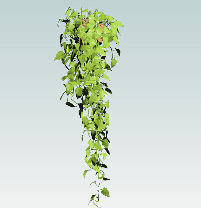 Hanging Vine Elegance