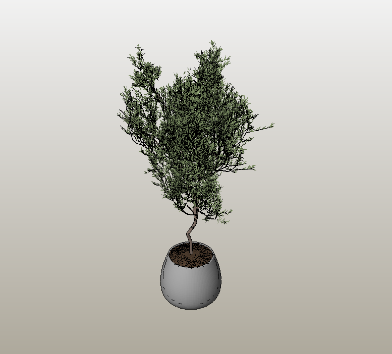 Conifer tree in round gray pot