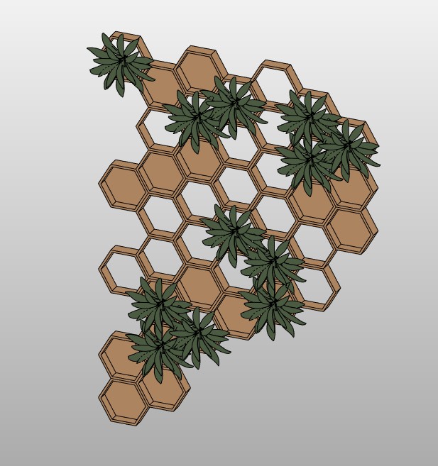 Hexagonal honeycomb shelf with plants