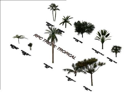 3d tropical trees