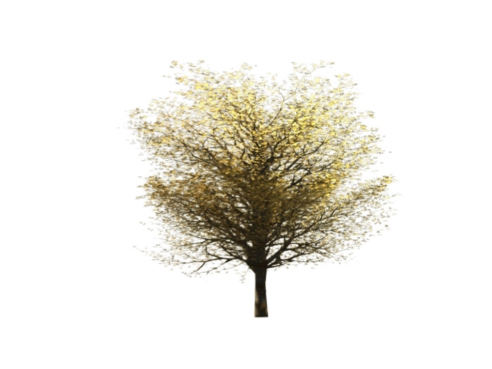 Revit tree block