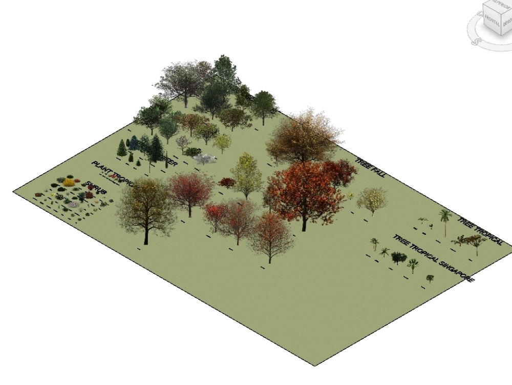 Trees in - types of vegetation to use in revit