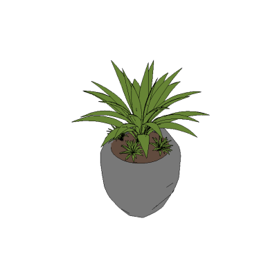 Potted Plant