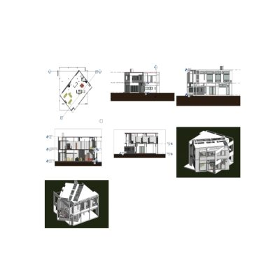 Peter eisenman revit house