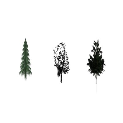 Trees