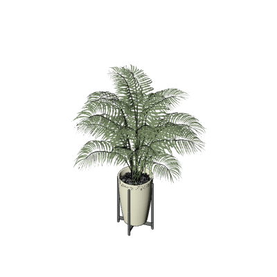Palm in Modern Planter