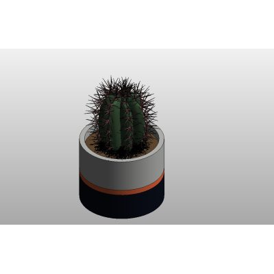 Decorative Vases