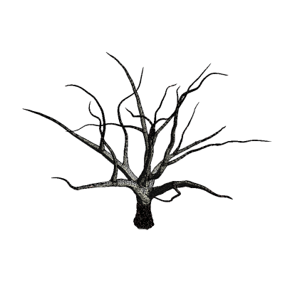 Dead Tree 8172