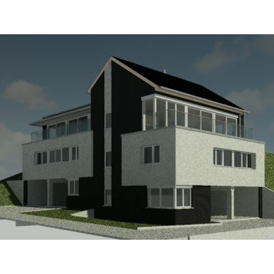 Revitalized 3d mountain villa project