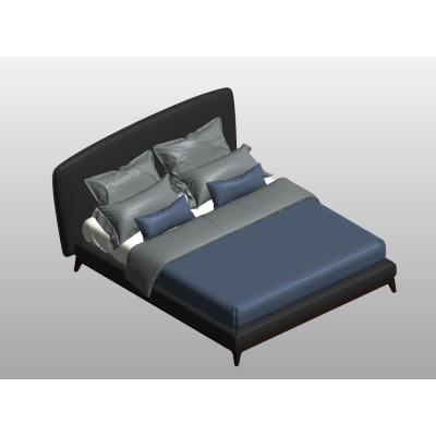 Contemporary Queen Bed