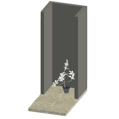 POTTED PLANT 10826