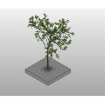 Urban Tree Planter