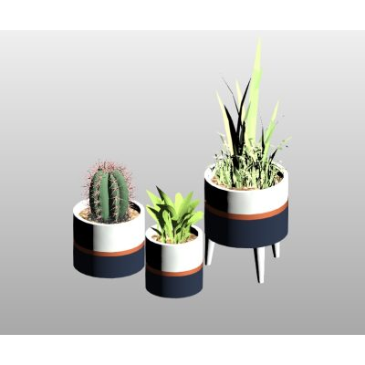 Potted indoor plants with 3 modern pots
