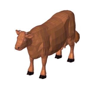Cow - Vaca