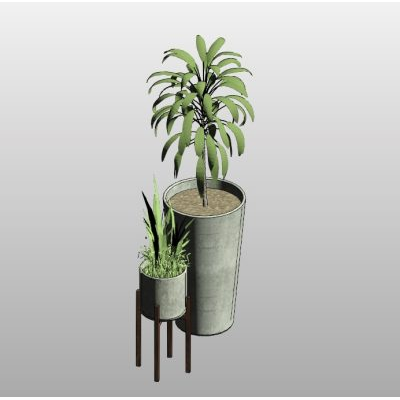 Set of Decorative Indoor Plants