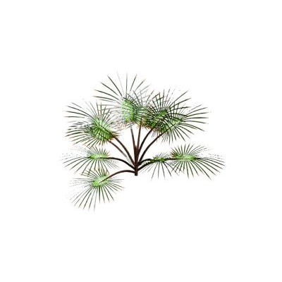 3D bush with realistic lush foliage 7 Palm Bush