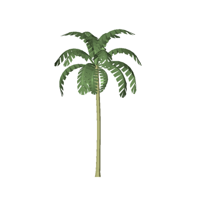Palm tree modern minimalist 3D 5 Tropical Palm Tree
