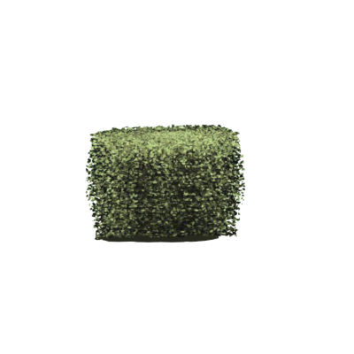 3D bush with realistic lush foliage 6 Line Drawing of a Shrub