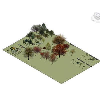 Trees in  - types of vegetation to use in revit