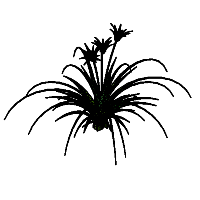 3D Flower - Lilly 1 8164