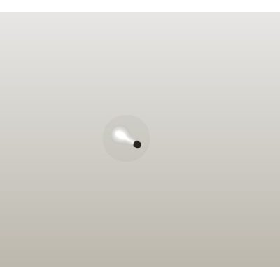 Ceiling Light Fixture