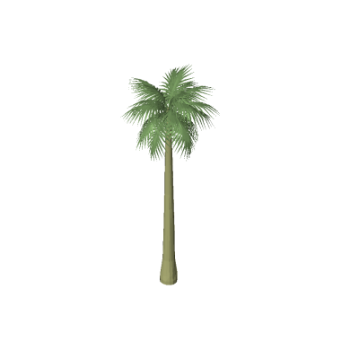 Palm tree modern minimalist 3D 4 Palm Tree