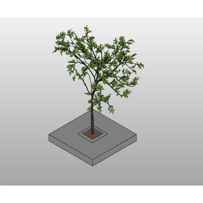 Urban Tree Planter