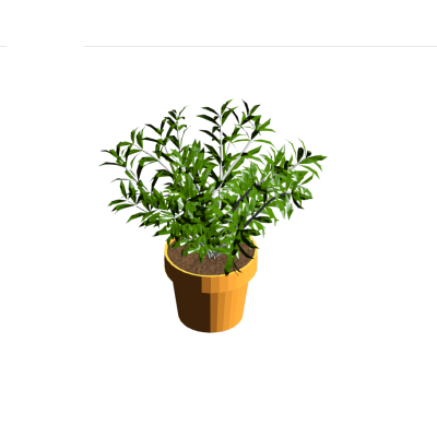 Potted Plant