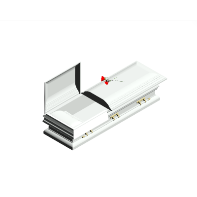Elegant Silver Casket