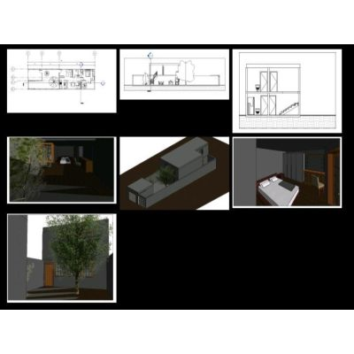 Detached house with garage in revit